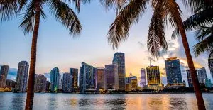 Your ideal Miami apartment could be around the next palm tree.