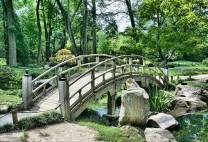 Japanese garden is an oasis in a busy city