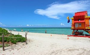 Enjoy the nature in North Miami Beach's neighborhoods by visiting the beach and going for a swim.