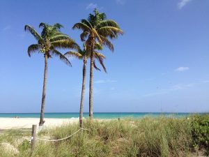 Feel the beach sand beneath your feet and relocate to one of the affordable cities in South Florida - Hollywood