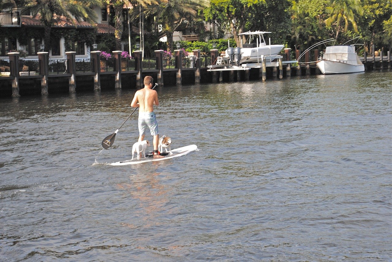 Moving to Fort Laudedale is moving to a very health conscious place, especially if you like to paddle board.