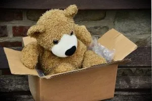 Teddy Bear in a moving box