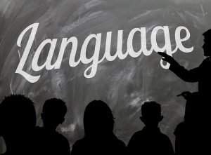 best language classes you can take in Miami