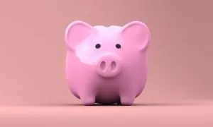 A pink piggy bank.