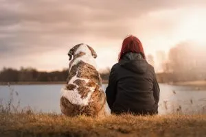 dog and his owner sitting