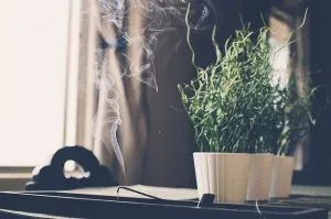 Scent stick is smoking in a house