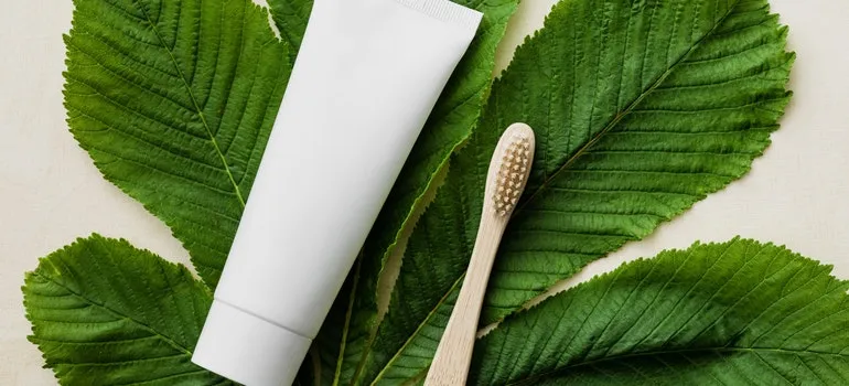 a toothbrush and a toothpaste on a green leaf
